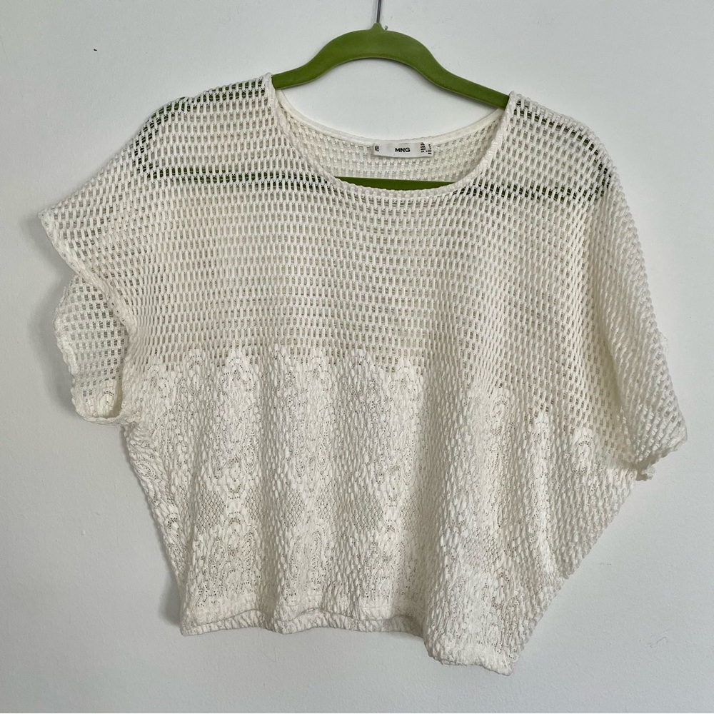Mango Mesh Lace Crop Top